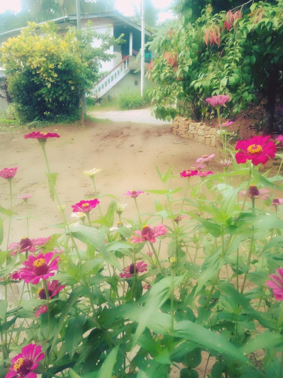 Alexandra Home For Foreign Tourists Only Gampola Buitenkant foto